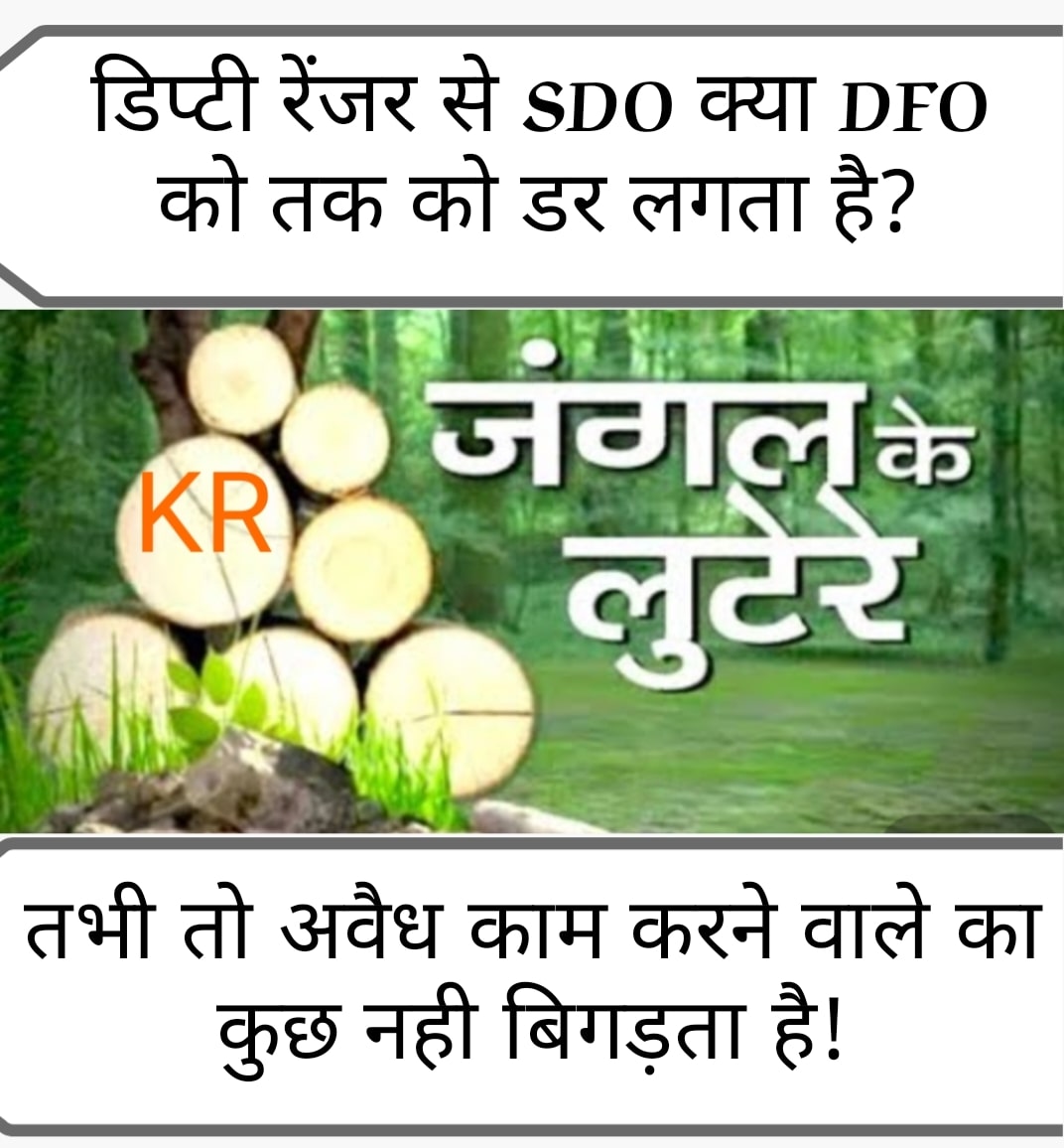 #मामला वन विभाग में फर्जी टीपी जारी करने वाले को बचाने का... DFO हो या SDO, सब में खौफ है रघु राज का...!